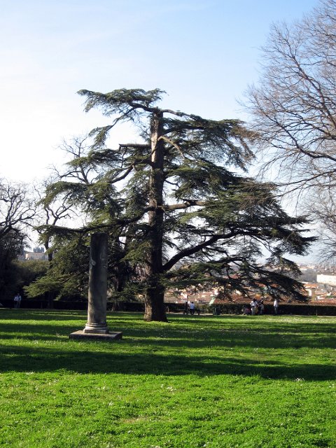 Boboli Gardens-13.JPG
